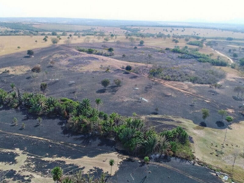 Imagem de compartilhamento para o artigo MPMS acompanha cumprimento de acordo após incêndio que destruiu mais de 160 hectares em Coxim da MS Todo dia